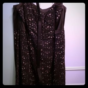 Beautiful Sexy Black Lace Dress by Torrid Size 24